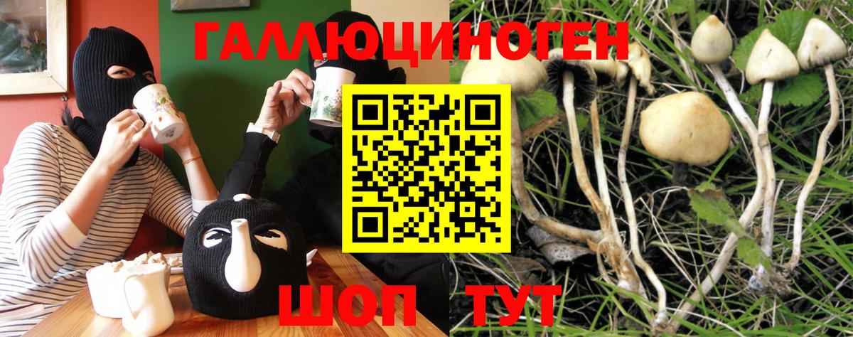 Псилоцибиновые грибы MAGIC MUSHROOMS Чусовой
